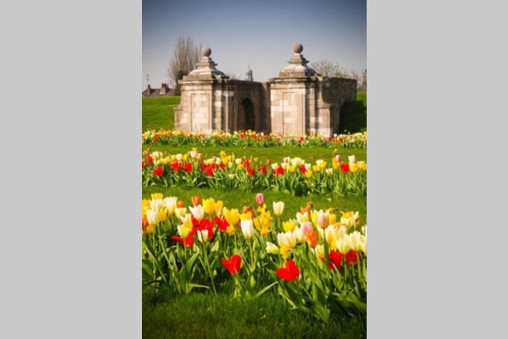 Au Coeur Des Remparts, Residence Du Chateau* Gravelines Buitenkant foto